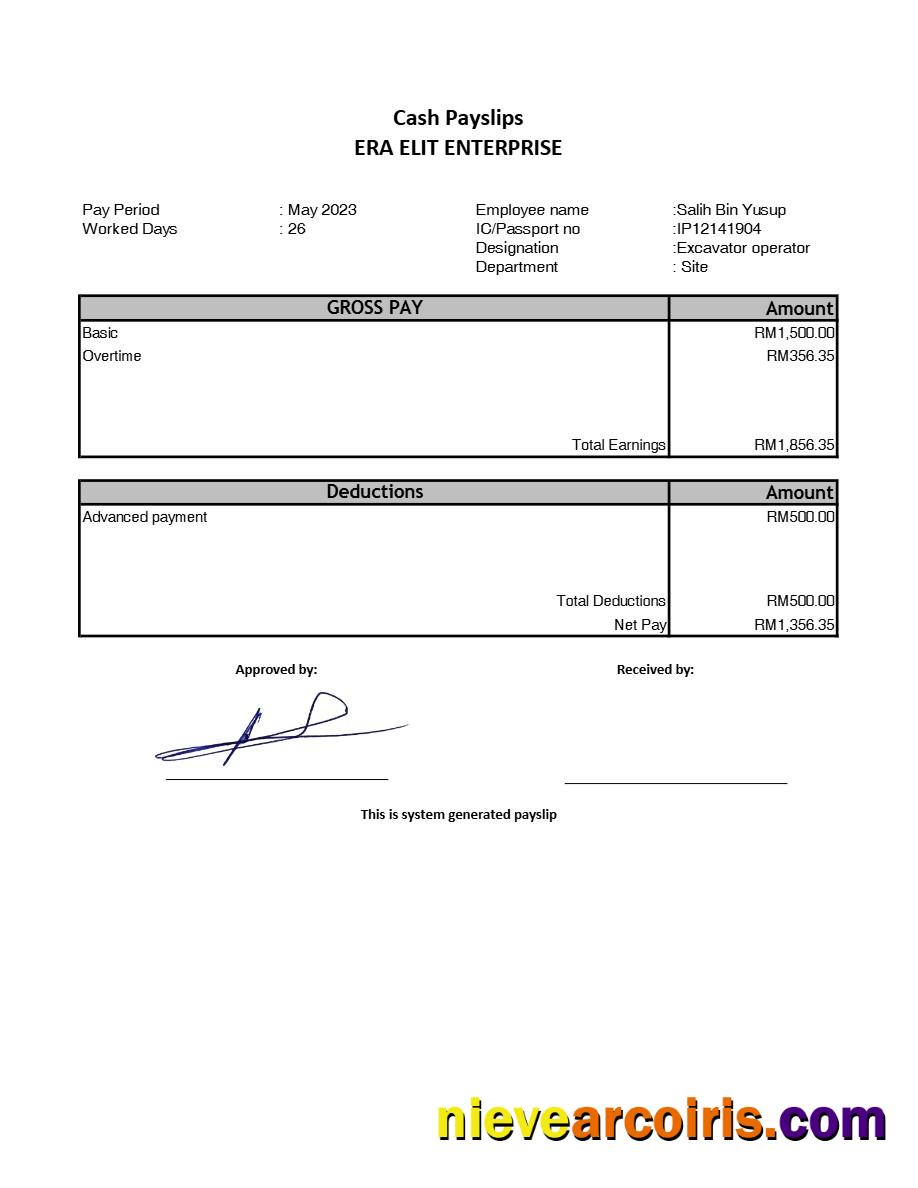 Era Elit Enterprise payslip